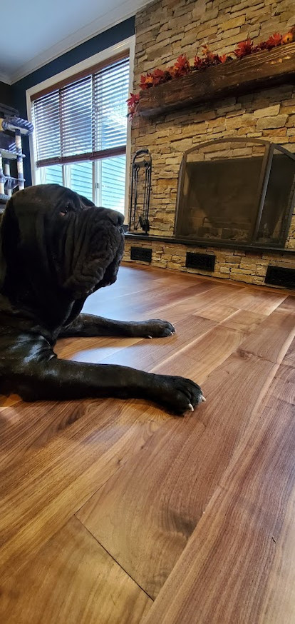 Walnut floor with a Mastiff resting by the hearth
